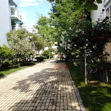 Guest Yassen-d Apartment